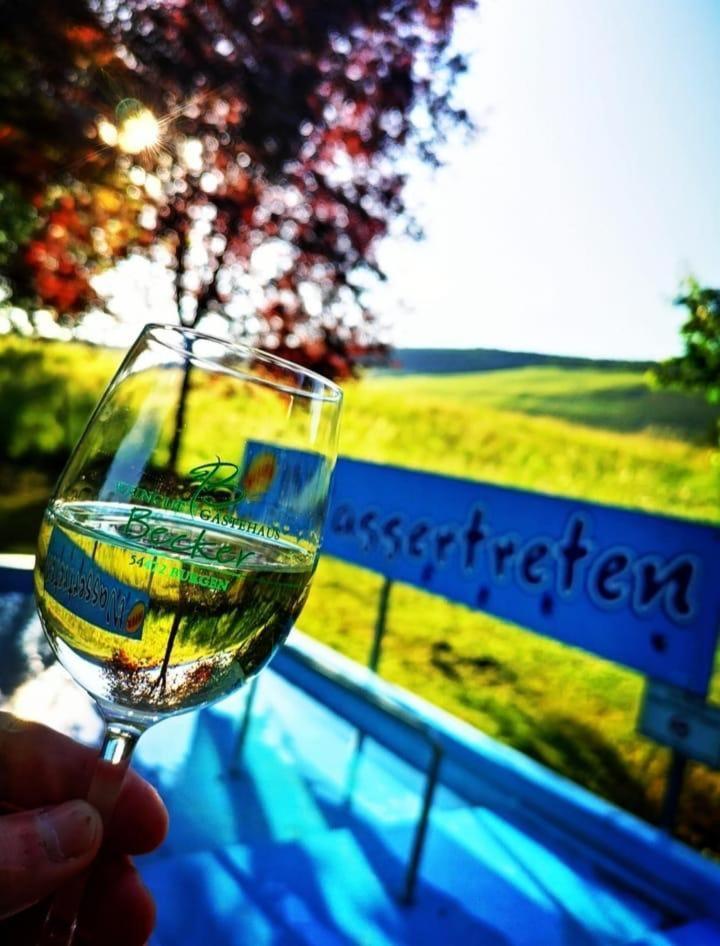 Ferienweingut & Gutsrestaurant Becker Apartment Burgen  Екстериор снимка