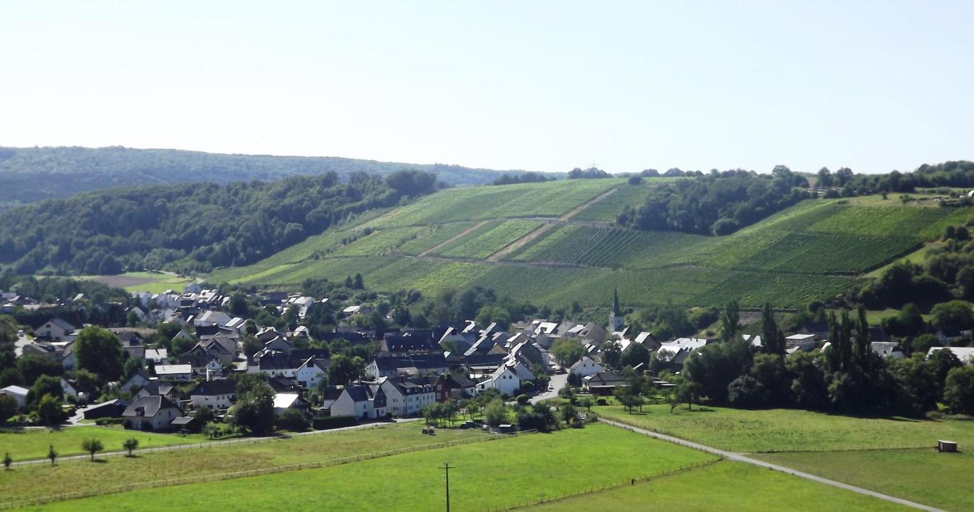 Ferienweingut & Gutsrestaurant Becker Apartment Burgen  Екстериор снимка